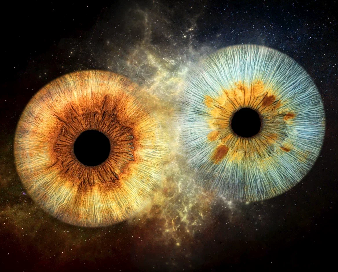 Couple iris art