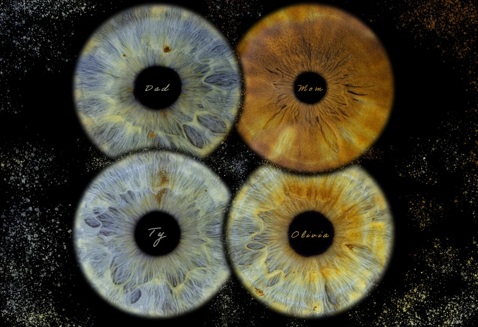 Family iris artwork