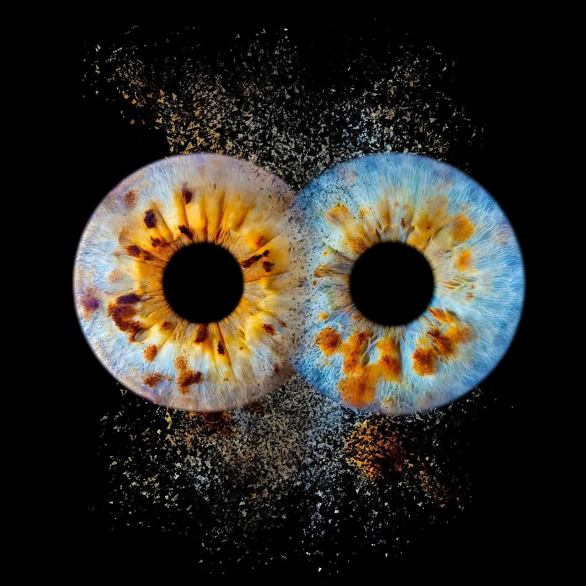 Two connected irises in a Kindred Eyes composition